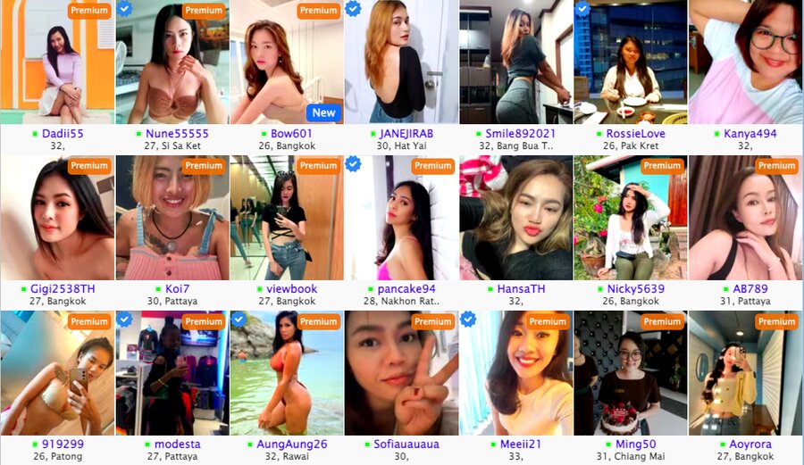 thaifriendly profiles