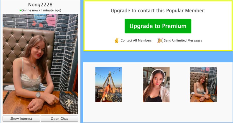 thaifriendly women profile
